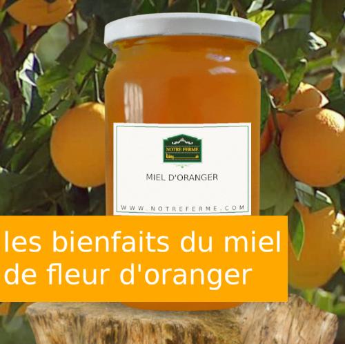 les bienfaits du miel de fleur d'oranger