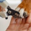 Coupe-griffes