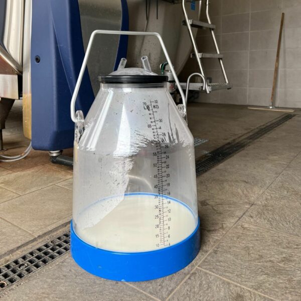 seay gradue 4 Seau à lait gradué