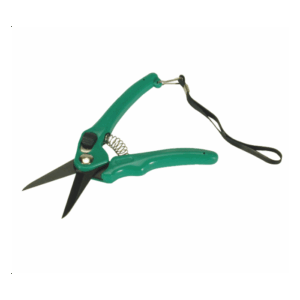 Cisaille mouton premium