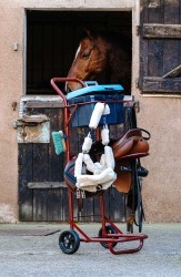 chariot-porte-selle-hippotonic (9) Chariot porte-selle