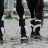 guetres-equitheme-boa (2) Guêtres - Boa