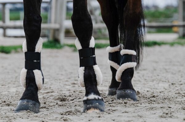 guetres-equitheme-boa (2) Guêtres - Boa
