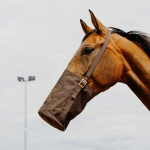 musette-hippotonic-600-deniers (1) Musette