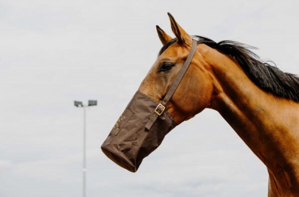 musette-hippotonic-600-deniers (1) Musette