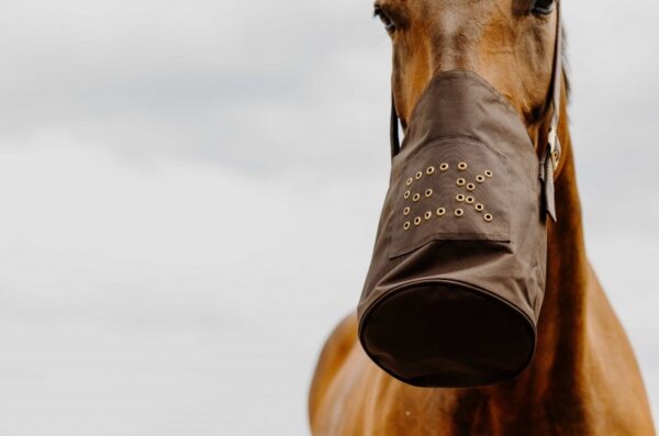 musette-hippotonic-600-deniers (2) Musette