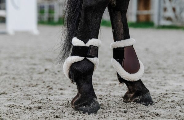 Protège-boulets - Boa