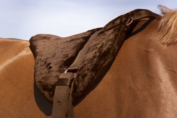 tapis-de-monte-a-cru-norton-confort (1) Tapis de monte à cru