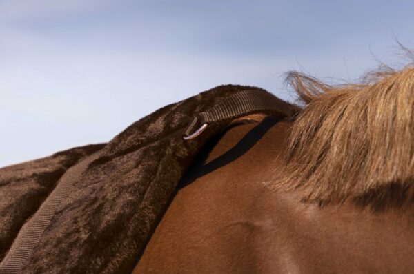 tapis-de-monte-a-cru-norton-confort (2) Tapis de monte à cru