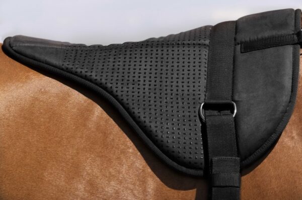 Tapis de monte à cru