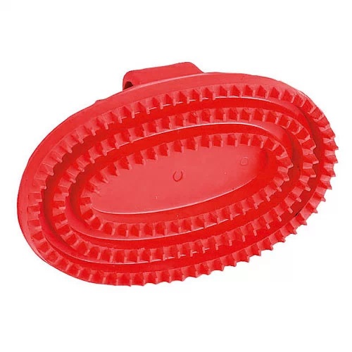 Etrille ovale Étrille ovale